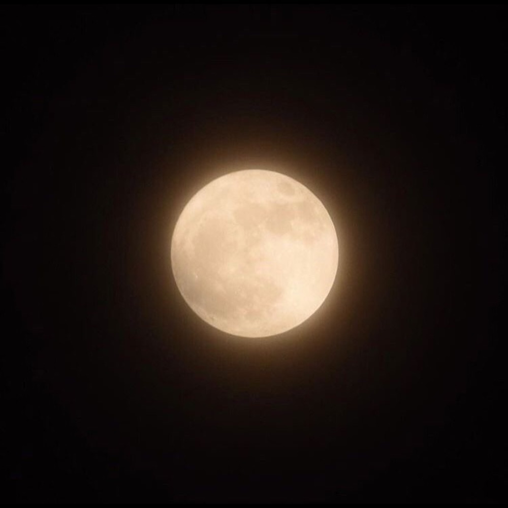 Meet your Posher, Moonlight lover